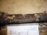 Sebacina umbrina image