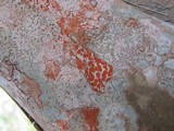 Arthonia rubrocincta image