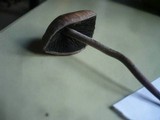 Panaeolus subbalteatus image