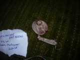 Pseudoclitocybe expallens image