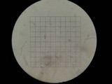Cystoderma fallax image