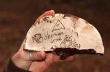 Ganoderma australe image