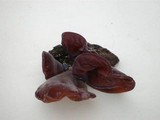 Auricularia fuscosuccinea image