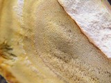 Laetiporus squalidus image