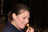 Gymnopilus sapineus image