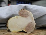Agaricus texensis image