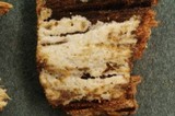 Cabalodontia subcretacea image