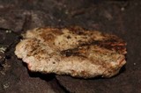 Stereum sanguinolentum image