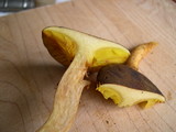 Phylloporus arenicola image