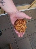 Gyromitra montana image