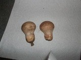 Calvatia cyathiformis image