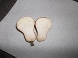 Calvatia cyathiformis image