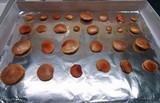Gymnopilus luteofolius image