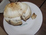 Fomitopsis officinalis image