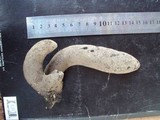 Xylaria poitei image