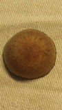 Panaeolus cinctulus image
