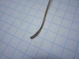 Mycena amicta image