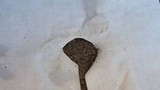 Amanita whetstoneae image
