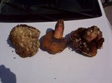 Boletus satanas image