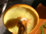 Suillus grevillei image