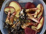 Gymnopilus thiersii image
