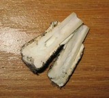 Amanita murrilliana image