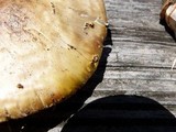 Amanita flavorubens image