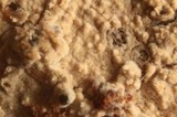 Hyphodontia subalutacea image