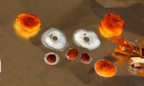 Xeromphalina tenuipes image