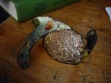 Boletus chrysenteron image