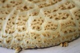Amanita ravenelii image