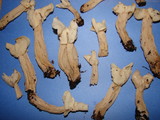Helvella crispa image