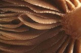 Simocybe sumptuosa image