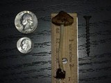 Inocybe mixtilis image