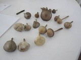 Panaeolus subbalteatus image