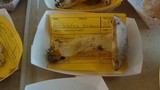 Retiboletus griseus image