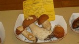 Boletus nobilissimus image