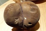 Xanthoconium affine image