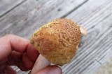 Amanita flavorubens image