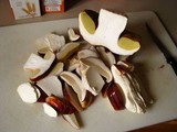 Boletus rubriceps image