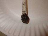 Amanita flavorubens image