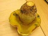 Boletus orovillus image