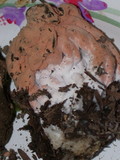 Hypomyces cervinigenus image