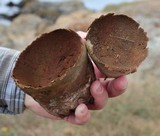 Lycoperdon utriforme image
