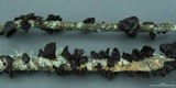 Exidia truncata image