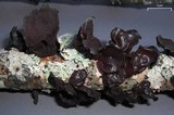 Exidia truncata image