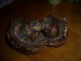Boletus satanas image