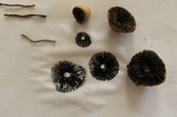 Panaeolus subbalteatus image