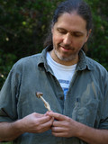 Amanita pachycolea image