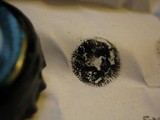 Panaeolus alcis image